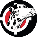 Fire Rover, LLC