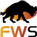 FIREWATCH SOLUTIONS INC
