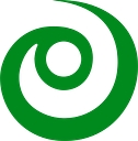 First Insight Corporation logo