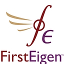 Firsteigen logo