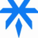 First Insurance logo