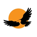 Favicon of First Nations Development Institute