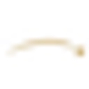 First Vision Bank logo