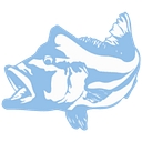Fish Colombia logo