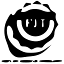 Fastener Innovation Technology, Inc. logo