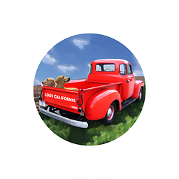 Five Window Beer Co. logo