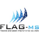 FLAG-MS logo