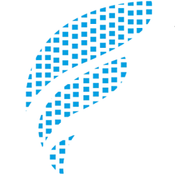 Flair Network Systems Pvt. Ltd. logo