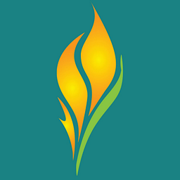 Flametreeyogastudio