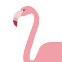 Flamingo Toes