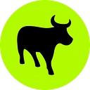 Flash Group logo