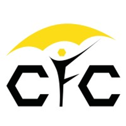 Flash logo