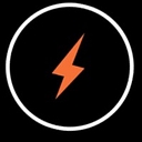 Flash Security Services Ltd logo