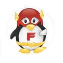 Flash Technology Group, LLC logo