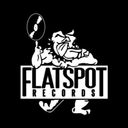 flatspotrecords.com logo