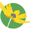 FLORIDA WILDFLOWER FOUNDATION INC logo