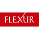 Flexur Systems logo