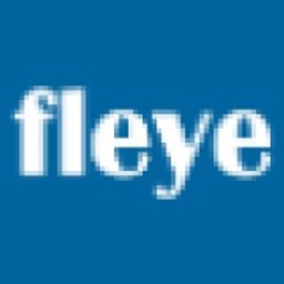 FE