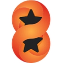FLIKPIX LLC