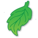 Fallen Leaf Lake CSD