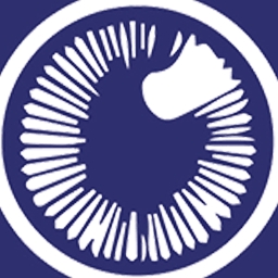 FE