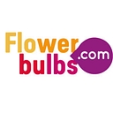 flowerbulbs.com