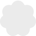 Flower Computer Co. logo