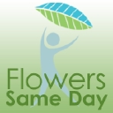 Flowers Same Day Limited logo