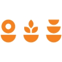 Flowervision Ltd logo