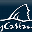Flycastaway.Com logo