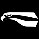 Flying Eyes logo
