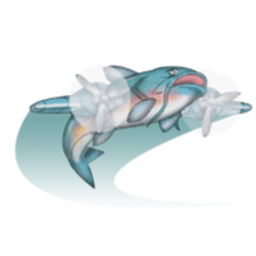 Flying Fish (North Wales) Ltd logo