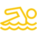 Flying Fish Swim School logo