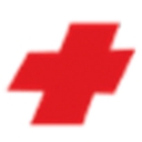 Flying Nurses International logo