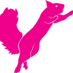 Flying Squirrel Trampoline Park logo