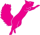 Flying Squirrel Sports logo
