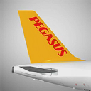PEGASUS AIR TRANSPORTATION logo