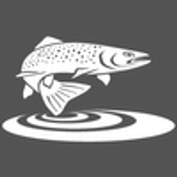 Fly South logo