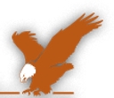 Federal Maintenance Services logo