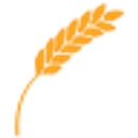 The Farmers National Bank Of Canfield