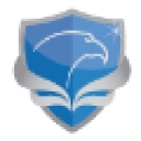 Falcon Network Services logo
