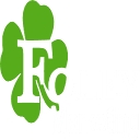 Foley Marketing Inc logo