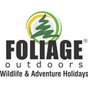 Foliage Outdoors