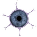 ForBrains Ltd