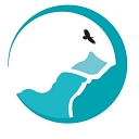 Forces Of Nature Wellness Clinic logo