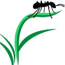 Ford's Hometown Services