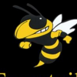 FORESTVILLE CENTRAL HIGH SCHOOL logo