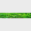Forever Green Landscape logo