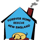 Forever Home Rescue New England Inc logo