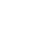 Forex Bulls Academy logo
